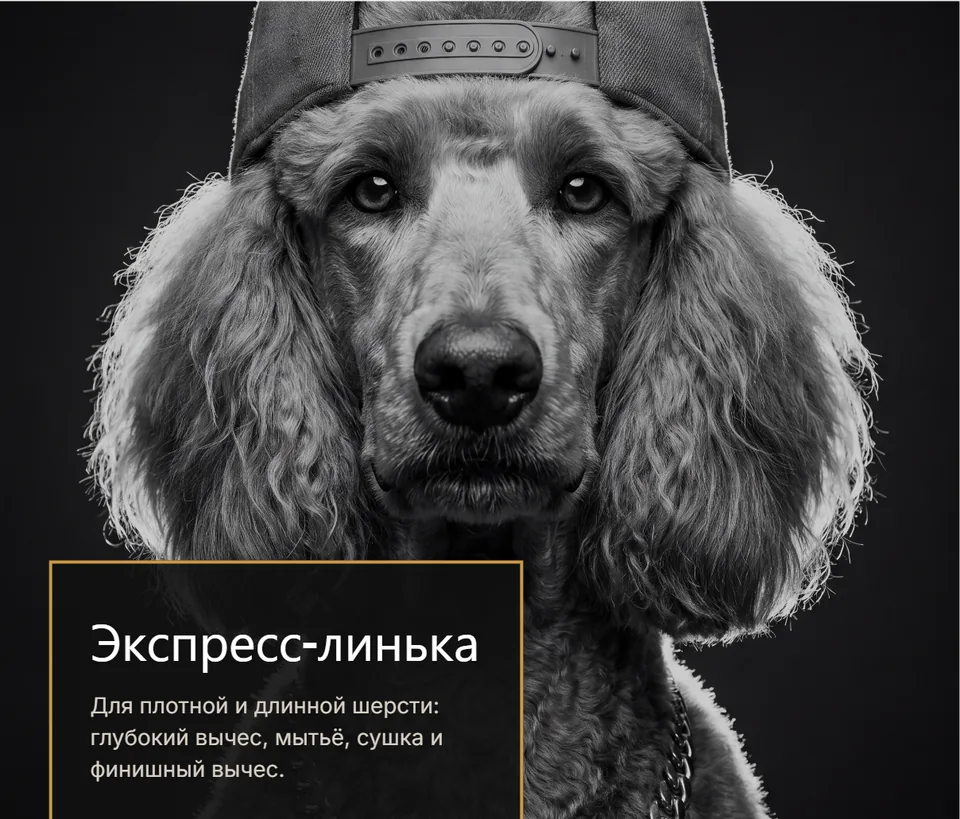 Пример визуального блока про экспресс-линьку для плотной и длинной шерсти